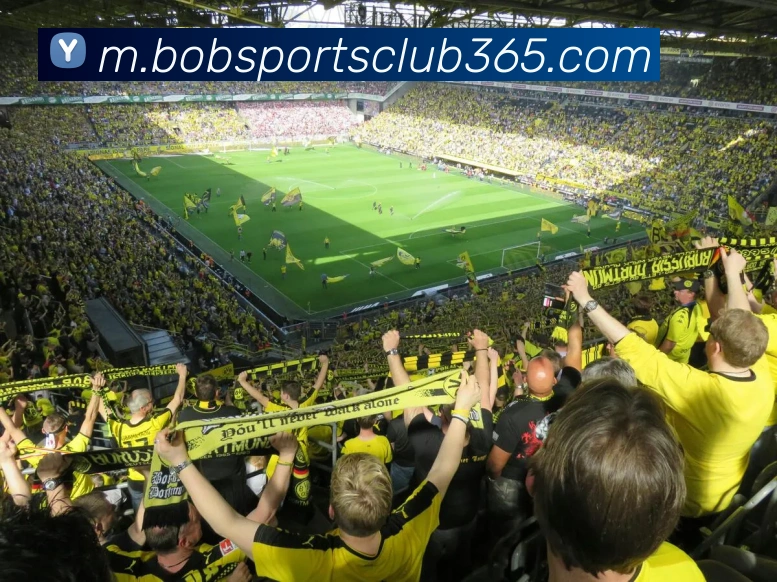 App Interface Preview